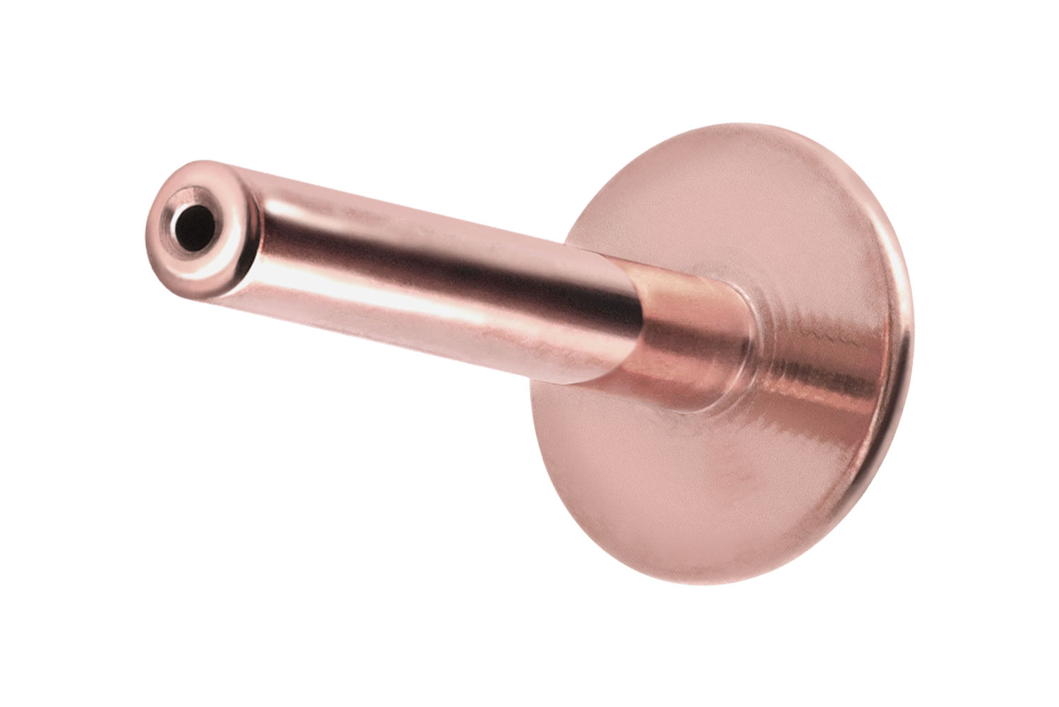 Titan Labret Piercing mit Push Fit ohne Kugel ABGERUNDETE PLATTE